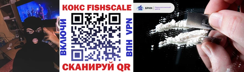 Купить закладки  Орлов  Cocaine Fish Scale 