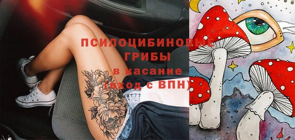 стафф Володарск