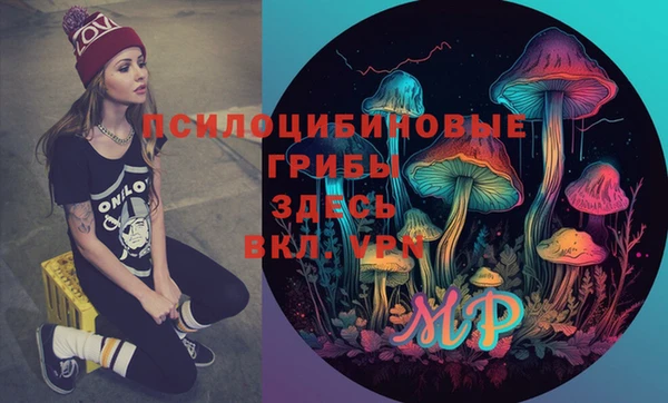 бошки Волосово