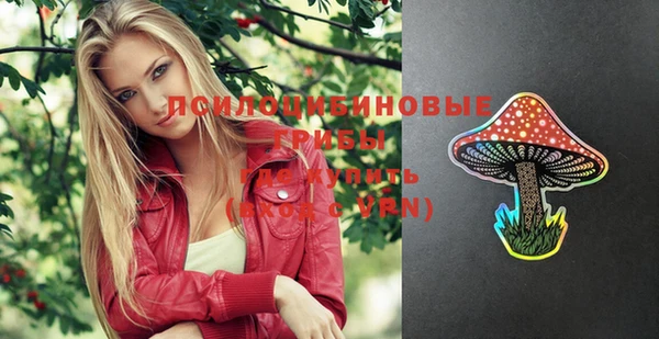 стафф Володарск