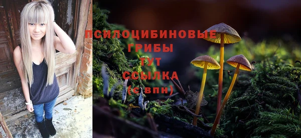 СК Волоколамск