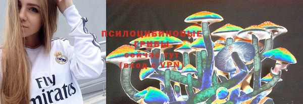 бошки Волосово