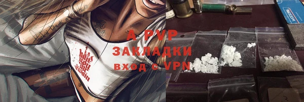 стафф Володарск