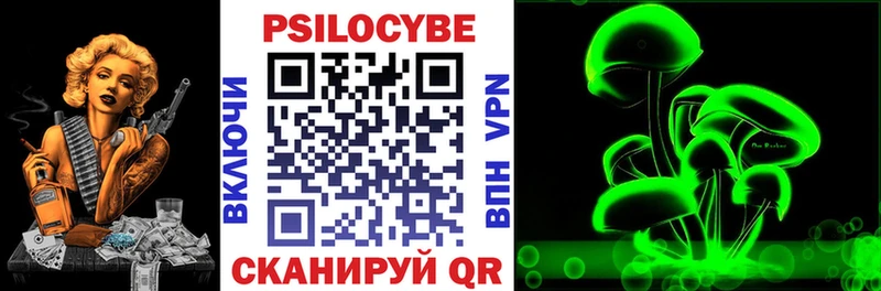 Купить где  Орлов  Псилоцибиновые грибы Psilocybe 